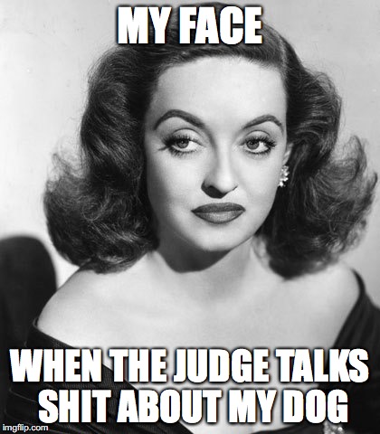 judge talks shit about dog | MY FACE WHEN THE JUDGE TALKS SHIT ABOUT MY DOG | image tagged in original resting bitch face,memes,dog show,judge | made w/ Imgflip meme maker