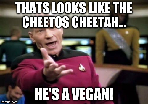 Picard Wtf Meme | THATS LOOKS LIKE THE CHEETOS CHEETAH... HE'S A VEGAN! | image tagged in memes,picard wtf | made w/ Imgflip meme maker