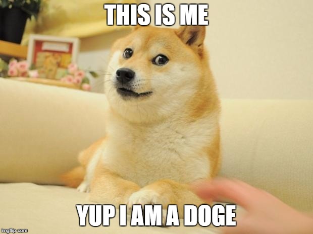 Doge 2 | THIS IS ME YUP I AM A DOGE | image tagged in memes,doge 2 | made w/ Imgflip meme maker