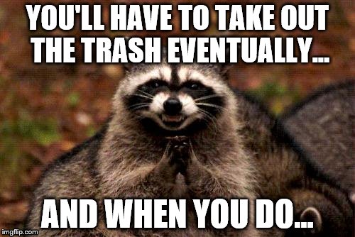 Taking out the trash.. | YOU'LL HAVE TO TAKE OUT THE TRASH EVENTUALLY... AND WHEN YOU DO... | image tagged in memes,evil plotting raccoon | made w/ Imgflip meme maker