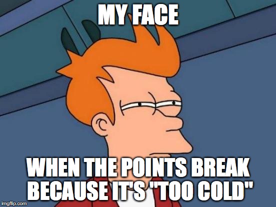dog show point break | MY FACE WHEN THE POINTS BREAK BECAUSE IT'S "TOO COLD" | image tagged in memes,futurama fry,dog show | made w/ Imgflip meme maker