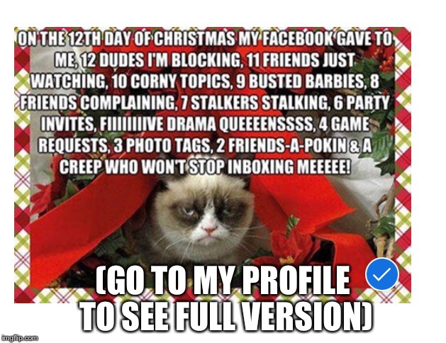 Grumpy | (GO TO MY PROFILE TO SEE FULL VERSION) | image tagged in lol,grumpy cat | made w/ Imgflip meme maker