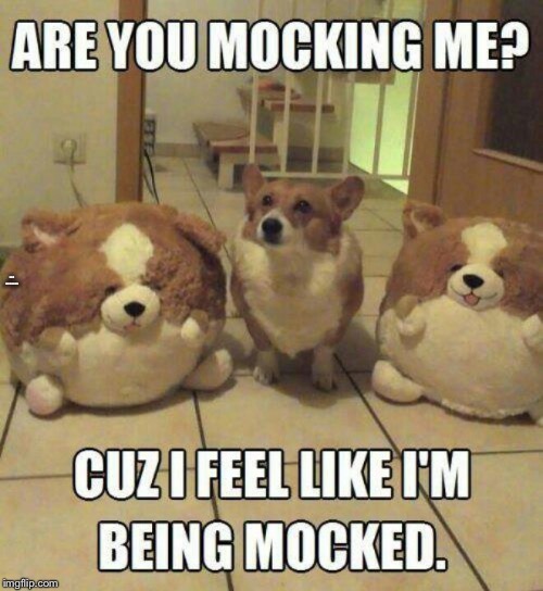 Mocking huh... | SUCH MOCKINGNESS | image tagged in dog,derp | made w/ Imgflip meme maker