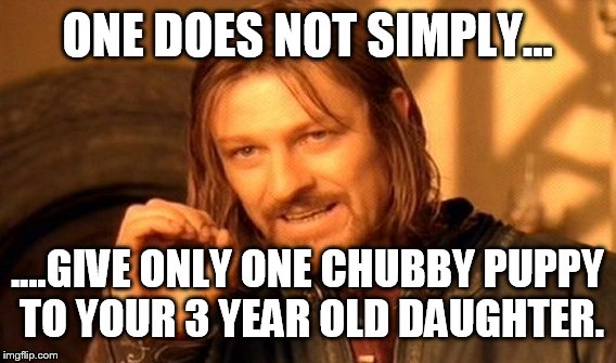 Chubby puppies is all she talks about  | ONE DOES NOT SIMPLY... ....GIVE ONLY ONE CHUBBY PUPPY TO YOUR 3 YEAR OLD DAUGHTER. | image tagged in memes,one does not simply,chubby puppies | made w/ Imgflip meme maker