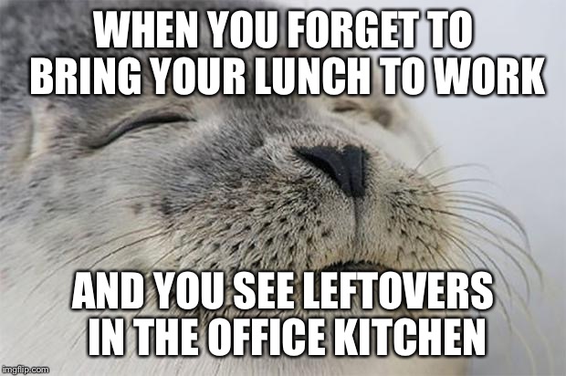 Satisfied Seal | WHEN YOU FORGET TO BRING YOUR LUNCH TO WORK AND YOU SEE LEFTOVERS IN THE OFFICE KITCHEN | image tagged in memes,satisfied seal,AdviceAnimals | made w/ Imgflip meme maker