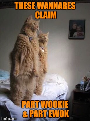 Furry Star Wars Fans | THESE WANNABES CLAIM PART WOOKIE & PART EWOK | image tagged in cats | made w/ Imgflip meme maker