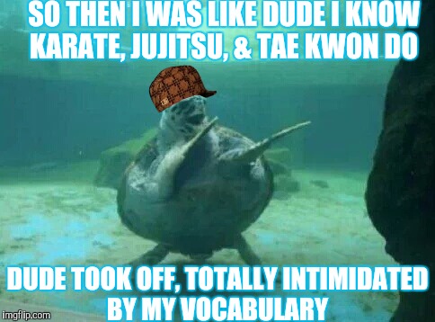 Call me bruce | SO THEN I WAS LIKE DUDE I KNOW KARATE, JUJITSU, & TAE KWON DO DUDE TOOK OFF, TOTALLY INTIMIDATED BY MY VOCABULARY | image tagged in scumbag | made w/ Imgflip meme maker