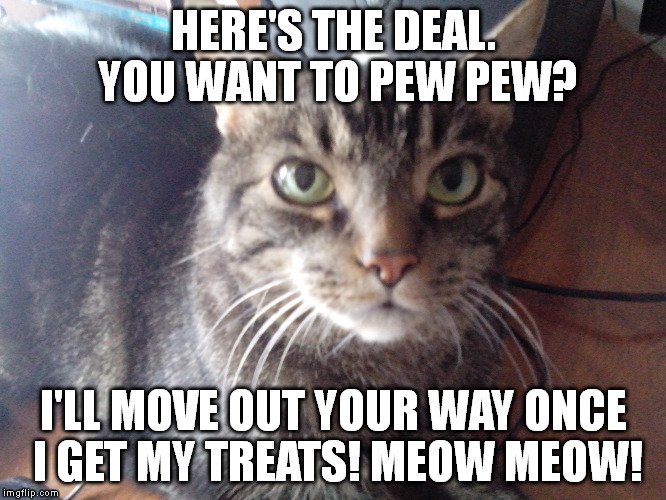 HERE'S THE DEAL. YOU WANT TO PEW PEW? I'LL MOVE OUT YOUR WAY ONCE I GET MY TREATS! MEOW MEOW! | made w/ Imgflip meme maker