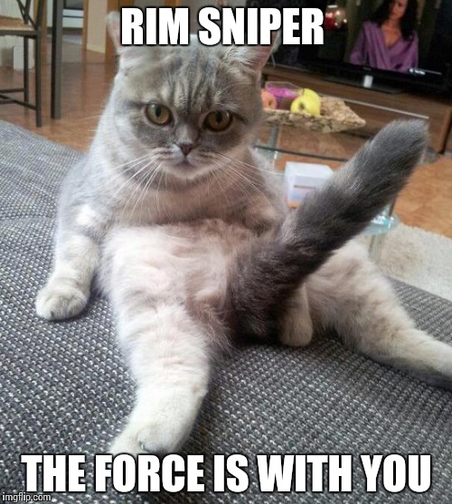 Sexy Cat | RIM SNIPER THE FORCE IS WITH YOU | image tagged in memes,sexy cat | made w/ Imgflip meme maker