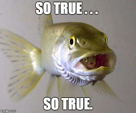 SO TRUE . . . SO TRUE. | image tagged in fish in a fish | made w/ Imgflip meme maker