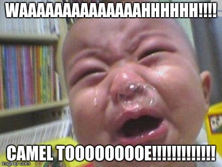 WAAAAAAAAAAAAAAHHHHHH!!!! CAMEL TOOOOOOOOE!!!!!!!!!!!!! | image tagged in camel toe,crying baby,humor,comedy | made w/ Imgflip meme maker