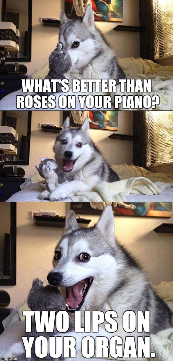 Bad Pun Dog Meme | WHAT'S BETTER THAN ROSES ON YOUR PIANO? TWO LIPS ON YOUR ORGAN. | image tagged in memes,bad pun dog | made w/ Imgflip meme maker