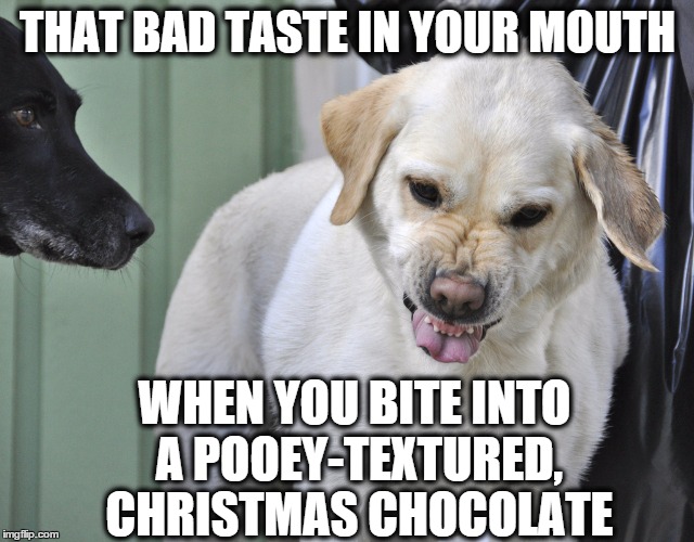Grandma's old Christmas Candy...blech! | THAT BAD TASTE IN YOUR MOUTH WHEN YOU BITE INTO A POOEY-TEXTURED, CHRISTMAS CHOCOLATE | image tagged in bad taste mouth dog,christmas,candy,chocolate | made w/ Imgflip meme maker