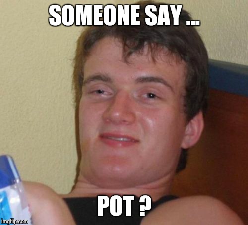 10 Guy Meme | SOMEONE SAY ... POT ? | image tagged in memes,10 guy | made w/ Imgflip meme maker