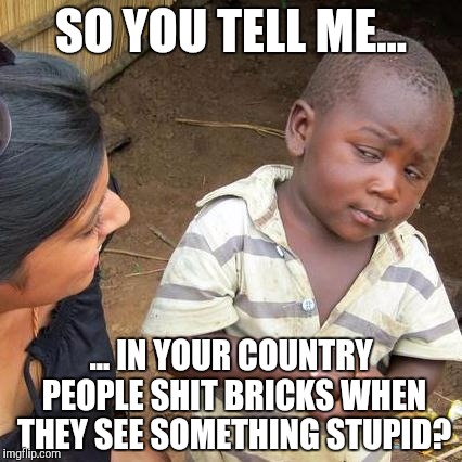Third World Skeptical Kid | SO YOU TELL ME... ... IN YOUR COUNTRY PEOPLE SHIT BRICKS WHEN THEY SEE SOMETHING STUPID? | image tagged in memes,third world skeptical kid | made w/ Imgflip meme maker