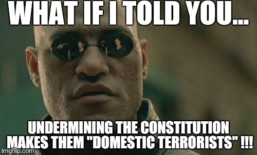 Matrix Morpheus | WHAT IF I TOLD YOU... UNDERMINING THE CONSTITUTION MAKES THEM "DOMESTIC TERRORISTS" !!! | image tagged in memes,matrix morpheus | made w/ Imgflip meme maker