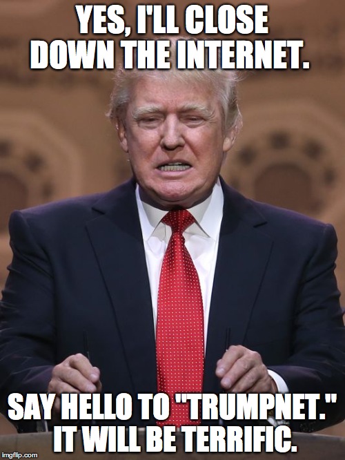 Donald Trump | YES, I'LL CLOSE DOWN THE INTERNET. SAY HELLO TO "TRUMPNET." IT WILL BE TERRIFIC. | image tagged in donald trump | made w/ Imgflip meme maker