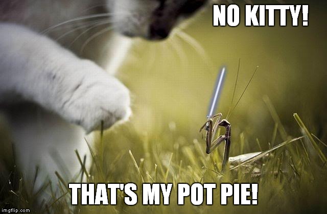 NO KITTY! THAT'S MY POT PIE! | made w/ Imgflip meme maker