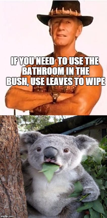 Need to use the bathroom? | IF YOU NEED  TO USETHE BATHROOM IN THE BUSH, USE LEAVES TO WIPE | image tagged in bathroom,koala,dundee,surprised,shocked | made w/ Imgflip meme maker