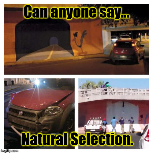 Natural Selection | Can anyone say... Natural Selection. | image tagged in meep meep | made w/ Imgflip meme maker