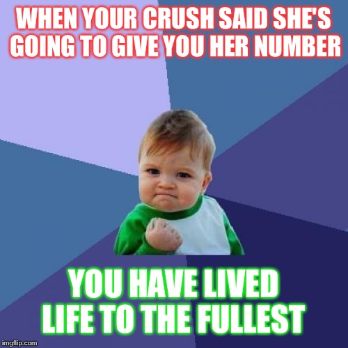 Success Kid Meme | WHEN YOUR CRUSH SAID SHE'S GOING TO GIVE YOU HER NUMBER YOU HAVE LIVED LIFE TO THE FULLEST | image tagged in memes,success kid | made w/ Imgflip meme maker