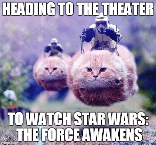 star wars cats | HEADING TO THE THEATER TO WATCH STAR WARS: THE FORCE AWAKENS | image tagged in star wars cats | made w/ Imgflip meme maker