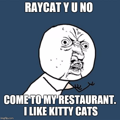 Y U No Meme | RAYCAT Y U NO COME TO MY RESTAURANT. I LIKE KITTY CATS | image tagged in memes,y u no | made w/ Imgflip meme maker