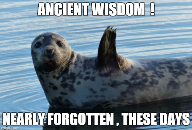 Seal | ANCIENT WISDOM  ! NEARLY FORGOTTEN , THESE DAYS | image tagged in seal | made w/ Imgflip meme maker
