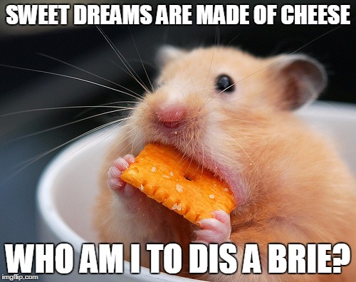 Cheese mouse | SWEET DREAMS ARE MADE OF CHEESE WHO AM I TO DIS A BRIE? | image tagged in cheese mouse | made w/ Imgflip meme maker
