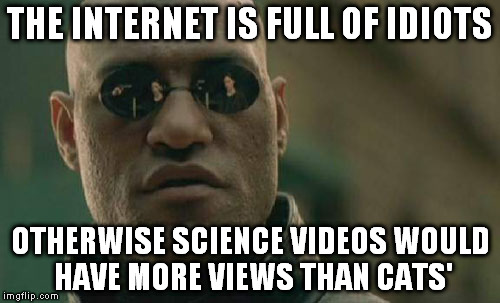 Matrix Morpheus Meme | THE INTERNET IS FULL OF IDIOTS OTHERWISE SCIENCE VIDEOS WOULD HAVE MORE VIEWS THAN CATS' | image tagged in memes,matrix morpheus | made w/ Imgflip meme maker