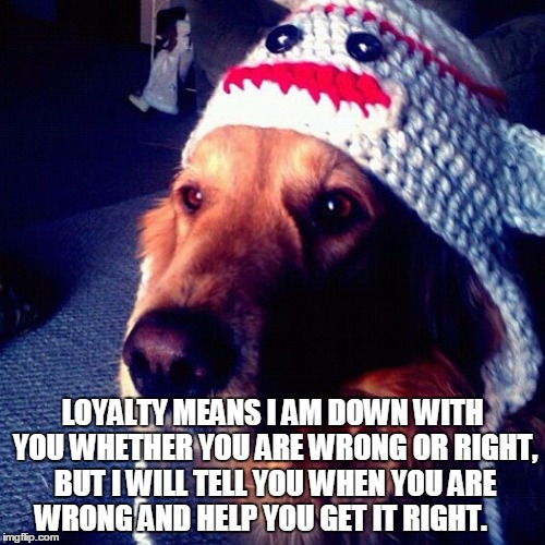 LOYALTY MEANS I AM DOWN WITH YOU WHETHER YOU ARE WRONG OR RIGHT, BUT I WILL TELL YOU WHEN YOU ARE WRONG AND HELP YOU GET IT RIGHT. | image tagged in loyalty | made w/ Imgflip meme maker