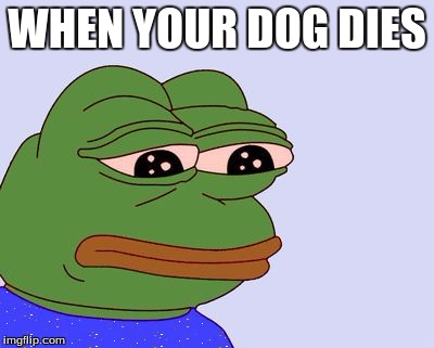 Pepe the Frog | WHEN YOUR DOG DIES | image tagged in pepe the frog | made w/ Imgflip meme maker