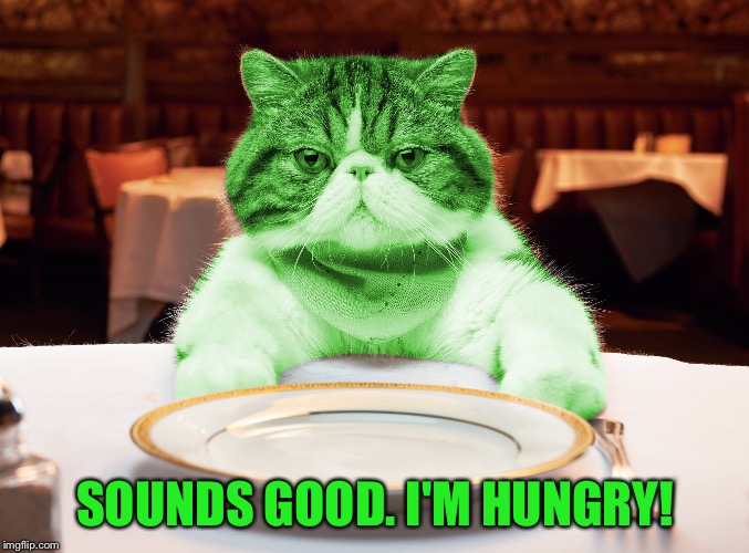 RayCat Hungry | SOUNDS GOOD. I'M HUNGRY! | image tagged in raycat hungry | made w/ Imgflip meme maker