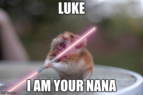 Star Wars hamster | LUKE I AM YOUR NANA | image tagged in star wars hamster | made w/ Imgflip meme maker