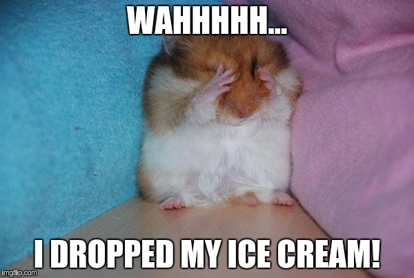 crying hamster | WAHHHHH... I DROPPED MY ICE CREAM! | image tagged in crying hamster | made w/ Imgflip meme maker