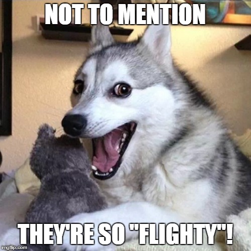 NOT TO MENTION THEY'RE SO "FLIGHTY"! | made w/ Imgflip meme maker
