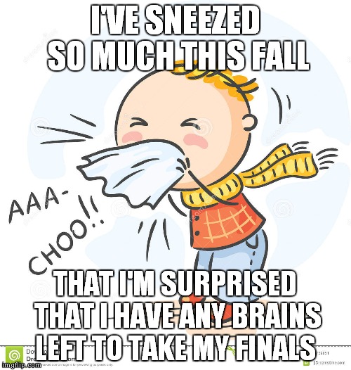Seriously  | I'VE SNEEZED SO MUCH THIS FALL THAT I'M SURPRISED THAT I HAVE ANY BRAINS LEFT TO TAKE MY FINALS | image tagged in sneeze,finals,brains | made w/ Imgflip meme maker