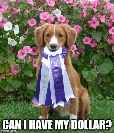 CAN I HAVE MY DOLLAR? | image tagged in dog rosette | made w/ Imgflip meme maker
