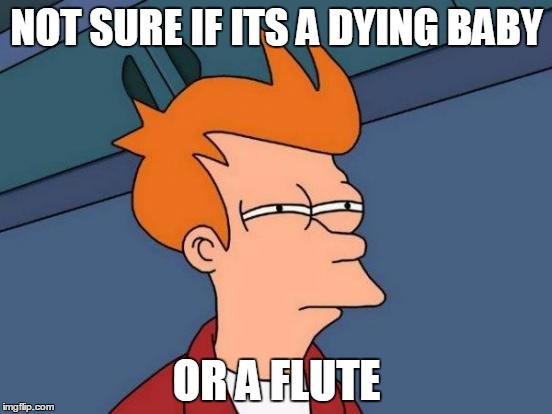 Futurama Fry Meme | NOT SURE IF ITS A DYING BABY OR A FLUTE | image tagged in memes,futurama fry | made w/ Imgflip meme maker