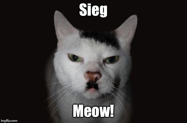 Hitler Cat | Sieg Meow! | image tagged in hitler cat | made w/ Imgflip meme maker