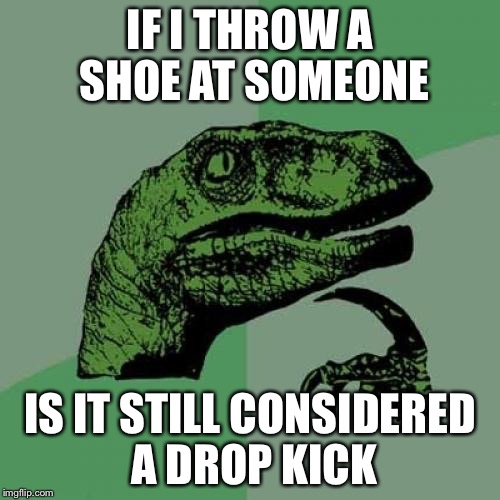 Philosoraptor Meme | IF I THROW A SHOE AT SOMEONE IS IT STILL CONSIDERED A DROP KICK | image tagged in memes,philosoraptor | made w/ Imgflip meme maker