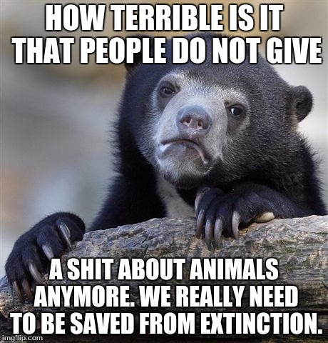 Confession Bear | HOW TERRIBLE IS IT THAT PEOPLE DO NOT GIVE A SHIT ABOUT ANIMALS ANYMORE. WE REALLY NEED TO BE SAVED FROM EXTINCTION. | image tagged in memes,confession bear | made w/ Imgflip meme maker