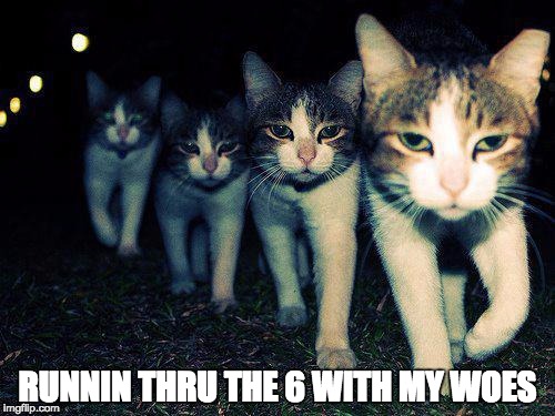 Wrong Neighboorhood Cats | RUNNIN THRU THE 6 WITH MY WOES | image tagged in memes,wrong neighboorhood cats | made w/ Imgflip meme maker