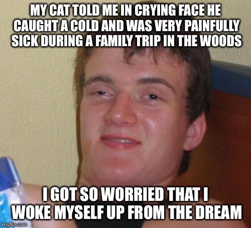 10 Guy | MY CAT TOLD ME IN CRYING FACE HE CAUGHT A COLD AND WAS VERY PAINFULLY SICK DURING A FAMILY TRIP IN THE WOODS I GOT SO WORRIED THAT I WOKE MY | image tagged in memes,10 guy | made w/ Imgflip meme maker