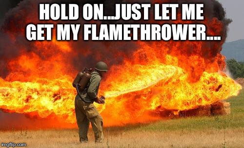 Nope flamethrower | HOLD ON...JUST LET ME GET MY FLAMETHROWER.... | image tagged in nope flamethrower | made w/ Imgflip meme maker