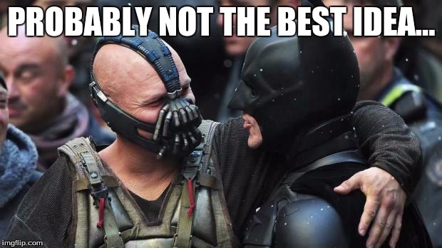 PROBABLY NOT THE BEST IDEA... | made w/ Imgflip meme maker
