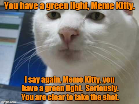 You have a green light, Meme Kitty. I say again, Meme Kitty, you have a green light.  Seriously.  You are clear to take the shot. | made w/ Imgflip meme maker