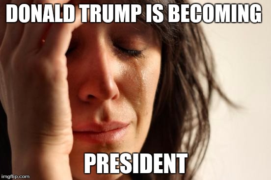 First World Problems | DONALD TRUMP IS BECOMING PRESIDENT | image tagged in memes,first world problems | made w/ Imgflip meme maker
