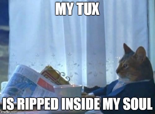 I Should Buy A Boat Cat Meme | MY TUX IS RIPPED INSIDE MY SOUL | image tagged in memes,i should buy a boat cat | made w/ Imgflip meme maker