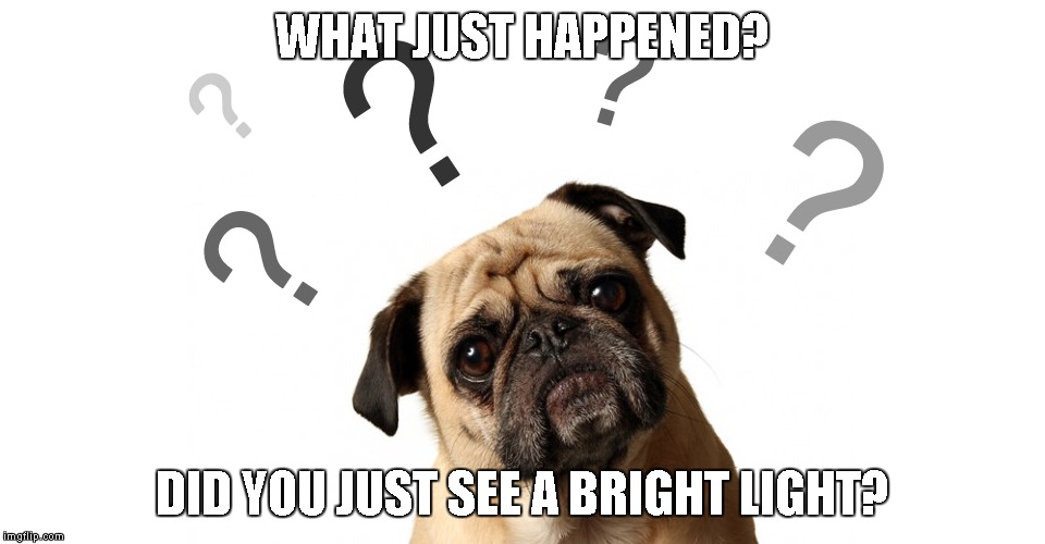 WHAT JUST HAPPENED? DID YOU JUST SEE A BRIGHT LIGHT? | made w/ Imgflip meme maker